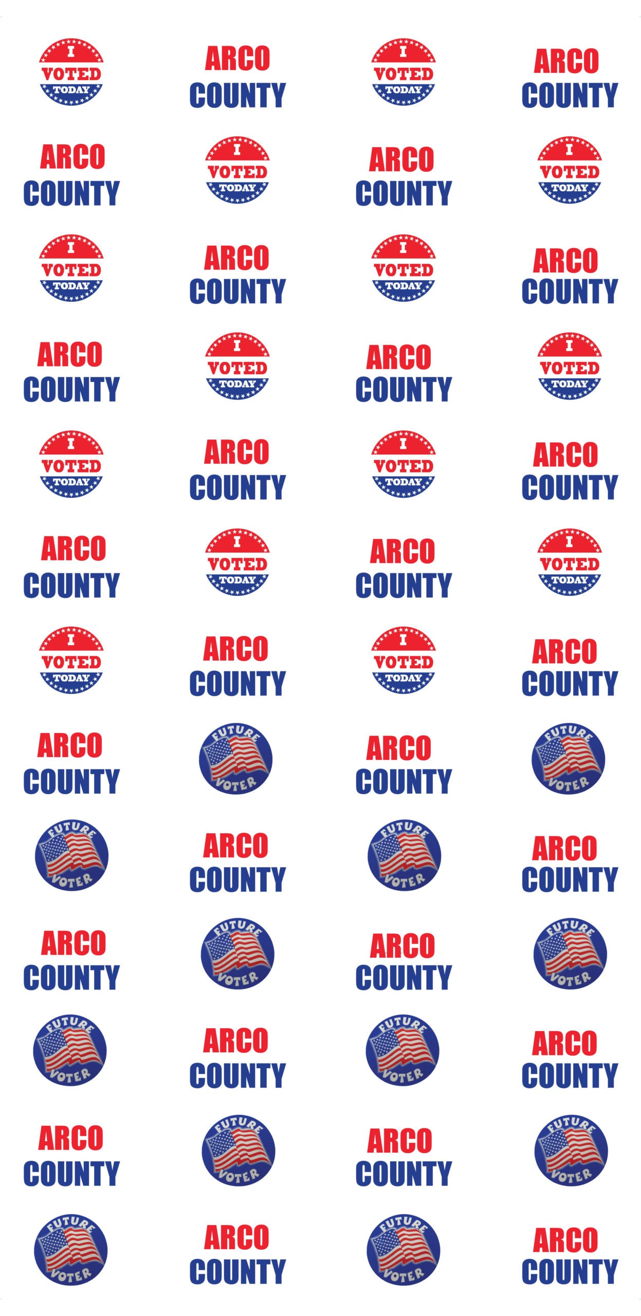 AFSELF Ivoted Future Voter Arco