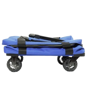 Rifkin Elections LP product